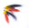 Friggi Salmon Flies logo
