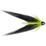 Posh Friggi Salmon Fly